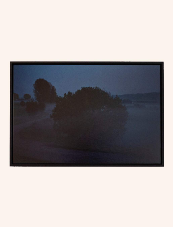 Photo from the series SYNC (Misty landscape)