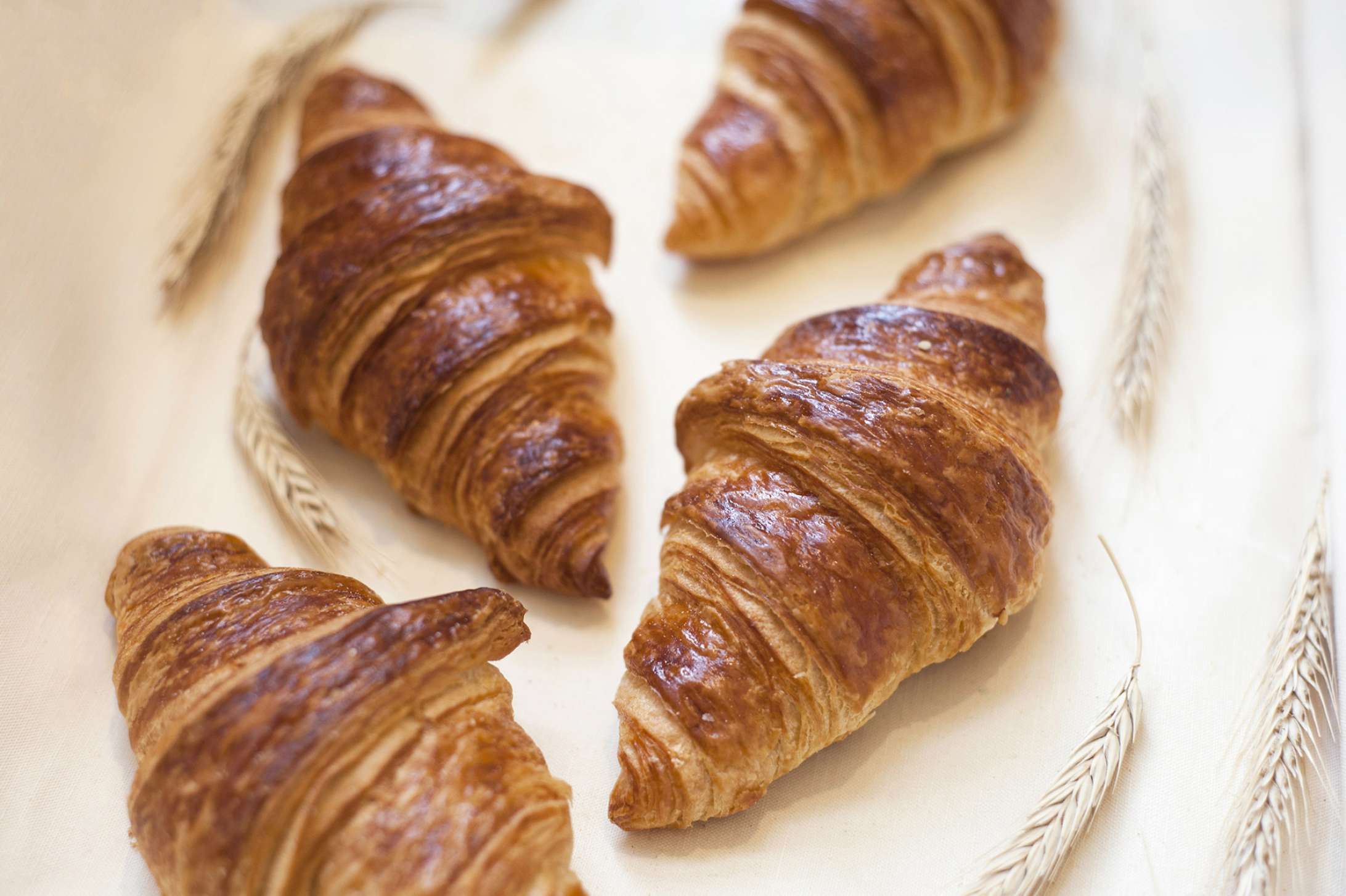Food photography