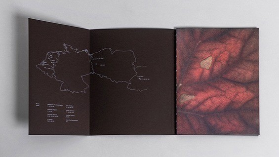 GUP magazine - Book Review