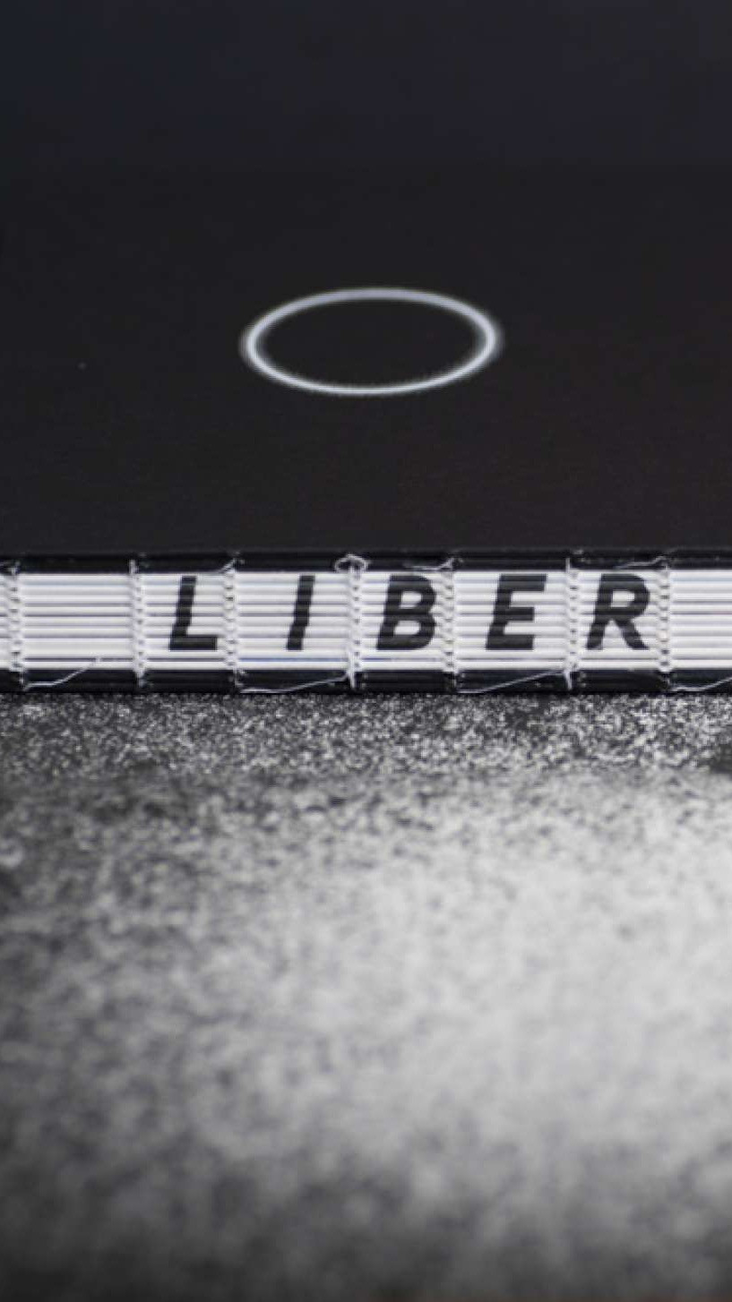 Just Another Trouble Bubble - Joris van Merwijk wint bij IDA Awards