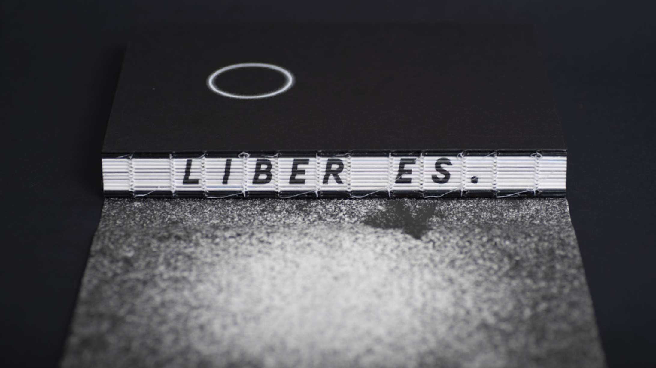 Just Another Trouble Bubble - Joris van Merwijk wint bij IDA Awards