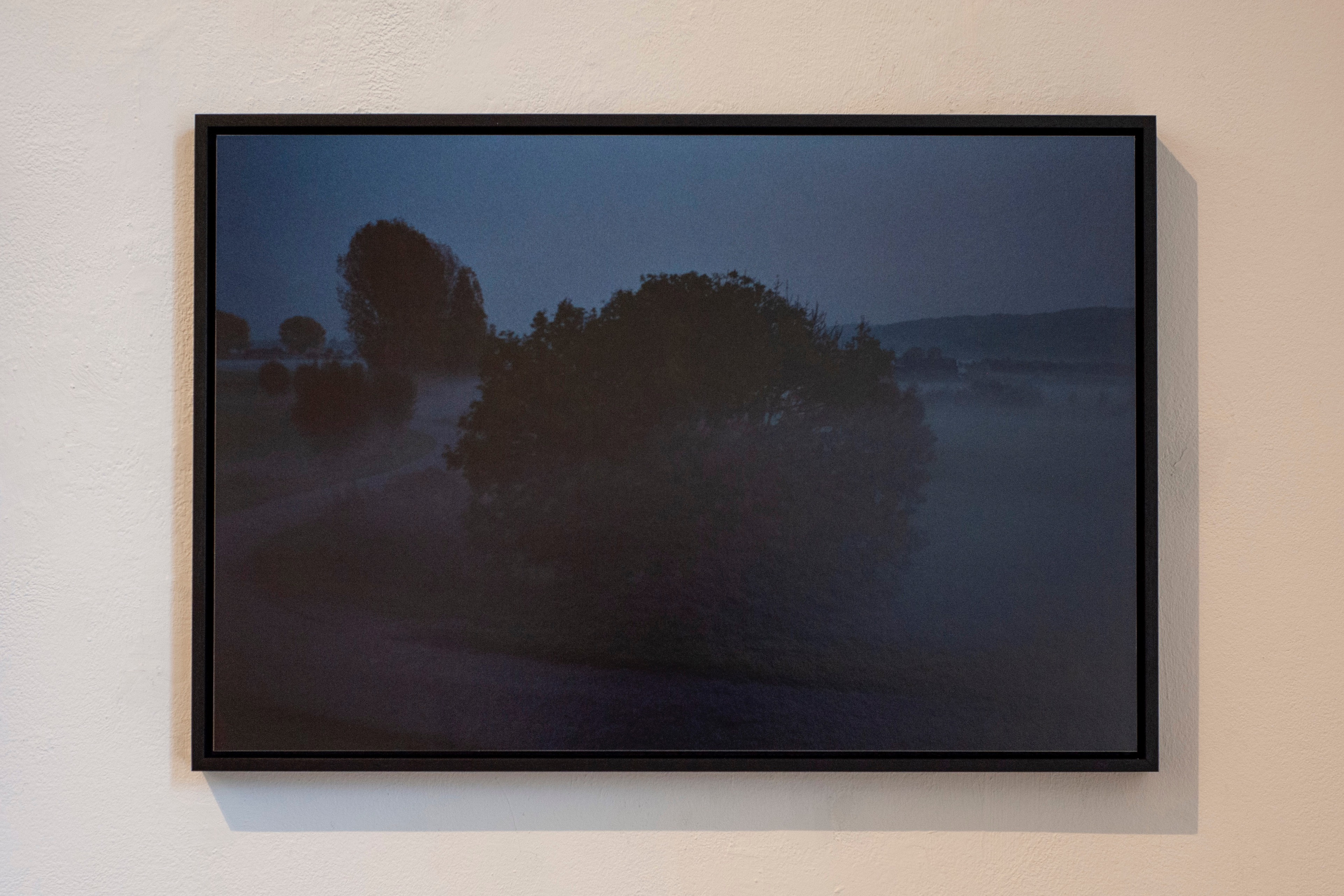 SYNC - Misty landscape